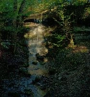 Waterfall near Rapperswil, rapperswil, waterfall, zuerich, schweiz, woods
