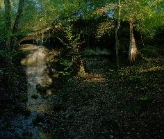 Waterfall near Rapperswil, rapperswil, waterfall, zuerich, schweiz, woods