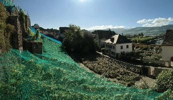 Zürich, rapperswil, netting, garden, summer, building, switzerland, town, europe, zürich, village, vineyard, sunshine