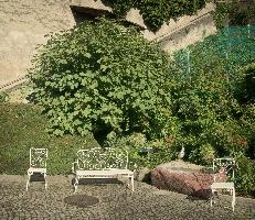 Fig tree in ornamental gardens in Rapperswil, Switzerland, sunshine, summer, building, zürich, rapperswil, switzerland, europe