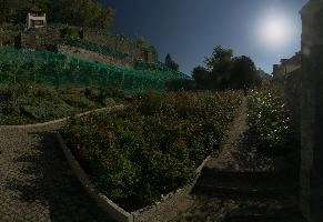 Netted vineyard in Rapperswil on Lake Zürich, Switzerland, netting, vineyard, garden, sunshine, summer, building, zürich, rapperswil, switzerland, village, europe, town