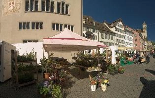 Zürich, rapperswil, market, summer, building, switzerland, europe, zürich, sunshine