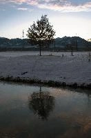 Dawn tree in Rüti, Sankt Gallen, rheintal, river, mountains, frost, pink, sunrise, alps, switzerland, rüthi sg, dawn, rhine, canal, field, mountain, valley