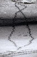 Tracks in Snow, Switzerland, rheintal, snow, shadow, footprints, stream, flowing, field, amden, pattern, switzerland, frozen, alps, texture, water, cold, mountains, trail, tracks, ice, europe, brook, winter