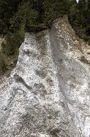 dse_002177.jpg