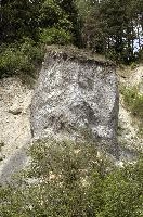 dse_002178.jpg