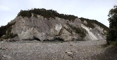 dse_002268-dse_002274.jpg