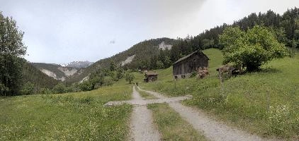 Meadows in the Swiss Rhine valley near Maienfeld, mountains, walking, countryside, rural, pasture, meadow, maienfeld, dirt, outdoors, track, switzerland, path, europe, alps