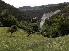 dse_002311-dse_002314.jpg