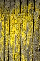 Algae on fence-posts in Swiss Alps, moisture, damp, texture, green, algae, posts, poles, fence, exterior, switzerland, decay, europe, building