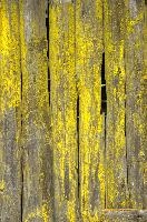 Algae on fence-posts in Swiss Alps, moisture, damp, texture, green, algae, posts, poles, fence, exterior, switzerland, decay, europe, building
