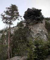 Outcrop in the Ruinaulta, Graubünden, outdoors, switzerland, europe