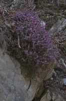 dse_009429_6066523-0.jpg