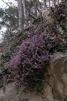 dse_009433_6066523.jpg