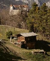 Schloss and barn in the Ruinaulta, Graubünden, switzerland, europe