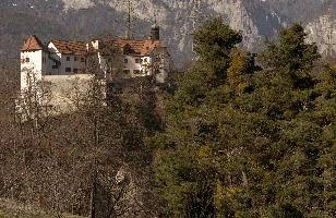 Castle Rhäzüns on the Grisonian Alpine Rhine river in Switzerland, shingle, schloss, rhäzüns, grisonian, alpine, chur, gorge, valley, rhine, sunshine, grisons, spring, switzerland, mountains, europe, river, rhäzüns, water, castle, bed