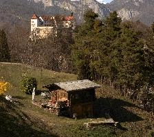 Castle Rhäzüns on the Grisonian Alpine Rhine river in Switzerland, shingle, schloss, rhäzüns, grisonian, alpine, chur, gorge, valley, rhine, sunshine, grisons, spring, switzerland, mountains, europe, river, rhäzüns, water, castle, bed
