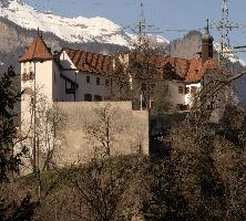 Castle Rhäzüns on the Grisonian Alpine Rhine river in Switzerland, shingle, schloss, rhäzüns, grisonian, alpine, chur, gorge, valley, rhine, sunshine, grisons, spring, switzerland, mountains, europe, river, rhäzüns, water, castle, bed