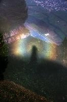 Backscatter.jpg