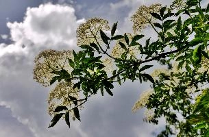 DSC_5766_70_67_68_69.jpg