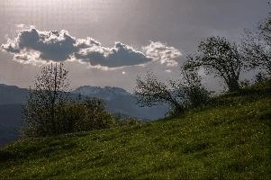 GonzenSpringCloud.jpg