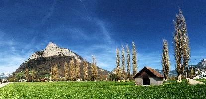 Gonzen and Poplars, gonzen, alpine, switzerland, spring, grazing, alps, poplars, scenery, sargans, outdoors, mountain, meadow, blue sky, sunshine, swiss, mountains, pasture, field, trees
