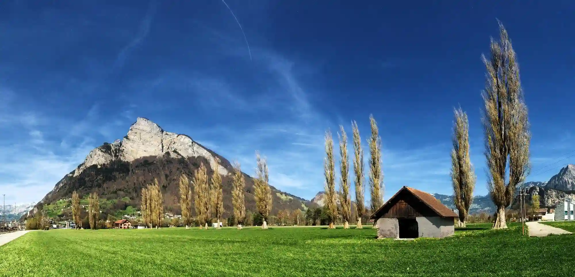 Gonzen and Poplars, gonzen, alpine, switzerland, spring, grazing, alps, poplars, scenery, sargans, outdoors, mountain, meadow, blue sky, sunshine, swiss, mountains, pasture, field, trees
