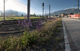 Bahnhof Flora, null