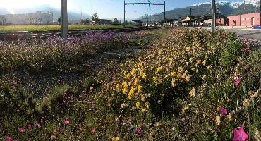 Bahnhof Flora, null