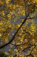dse_008828_6066523_2020_10_28_14_13_24_38_02_00.jpg