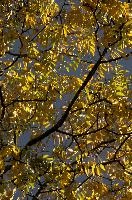dse_008829_6066523_2020_10_28_14_13_26_47_02_00.jpg