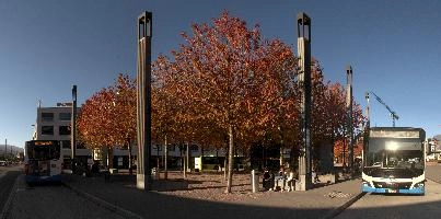 Autumn foliage on  the trees in Sargans station forecourt, Switzerland, forexourt, station, bus, sankt gallen, sargans, colour, walking, leaves, outdoors, red, autumn, foliage, switzerland, trees, europe, lamps