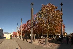Autumn foliage on  the trees in Sargans station forecourt, Switzerland, forexourt, station, bus, sankt gallen, sargans, colour, walking, leaves, outdoors, red, autumn, foliage, switzerland, trees, europe, lamps