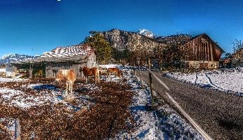 gimp_1887-gimp_1896.jpg