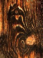 Wood grain