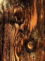 Wood grain