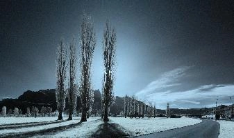 ir_29351-ir_29360.jpg