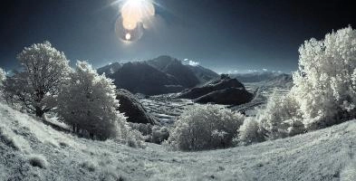 ir_29561-ir_29568.jpg