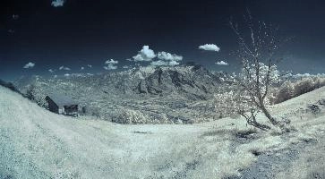 ir_29616-ir_29620.jpg