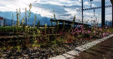mantiuk_9064-mantiuk_9067.jpg