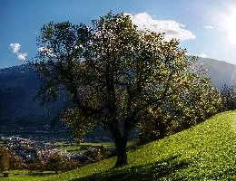 mantiuk_9295-mantiuk_9301.jpg