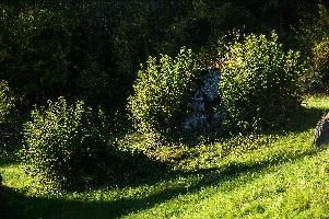 mantiuk_9310.jpg