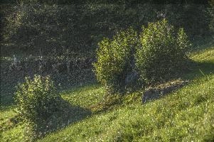 mantiuk_9313.jpg