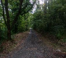 mantiuk_9398-mantiuk_9401h.jpg