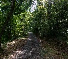 mantiuk_9404-mantiuk_9407h.jpg
