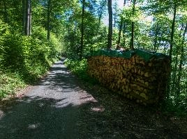 mantiuk_9404-mantiuk_9410h.jpg