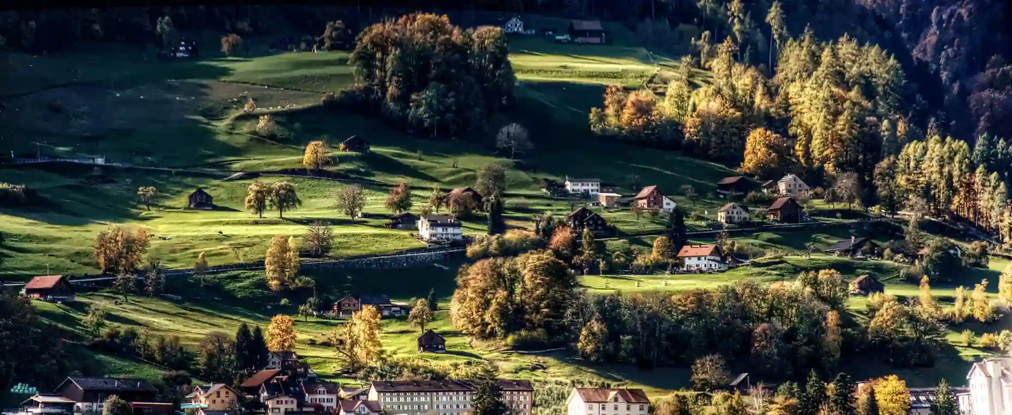 Evening light on the meadows of the Swiss Alps around Flums, null