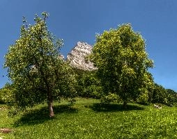mantiuk_9864-mantiuk_9873h.jpg