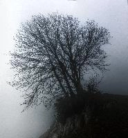 mantiuk_9961-mantiuk_9964.jpg