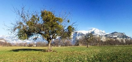 valley2.jpg